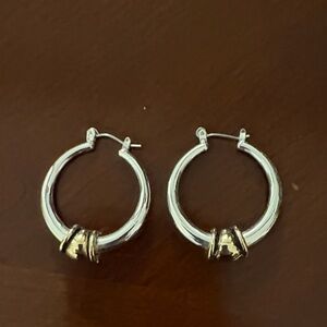 Elegant Silver and Gold Hoop Earrings